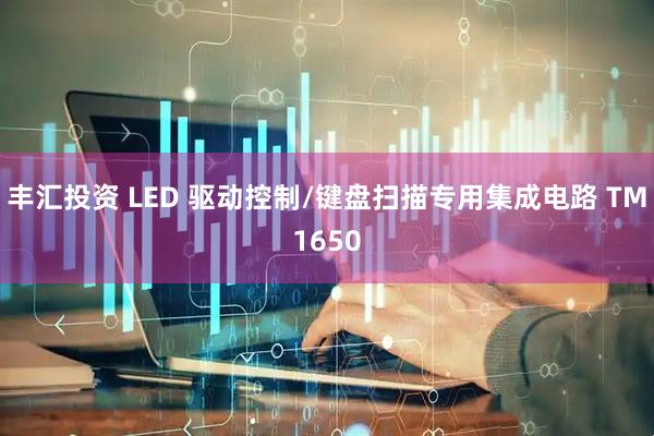 丰汇投资 LED 驱动控制/键盘扫描专用集成电路 TM1650