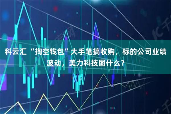 科云汇 “掏空钱包”大手笔搞收购，标的公司业绩波动，美力科技图什么？